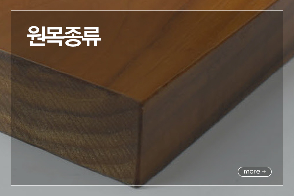 광주특수목재_메인_원목종류